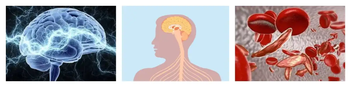 product-1-1 product-1-1