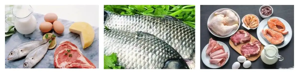 product-1-1 product-1-1