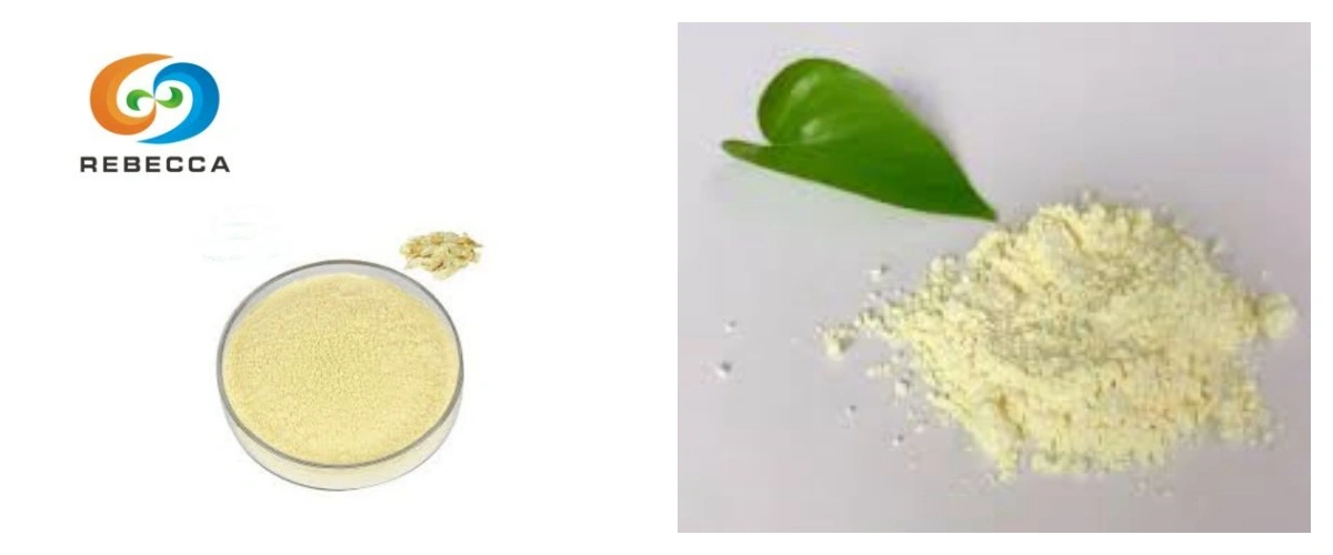 pwodwi-1-1 pwodwi-1-1