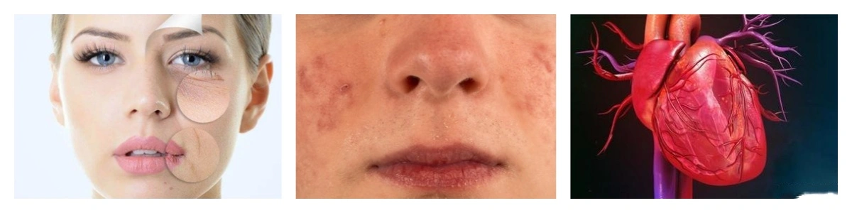 pwodwi-1-1 pwodwi-1-1