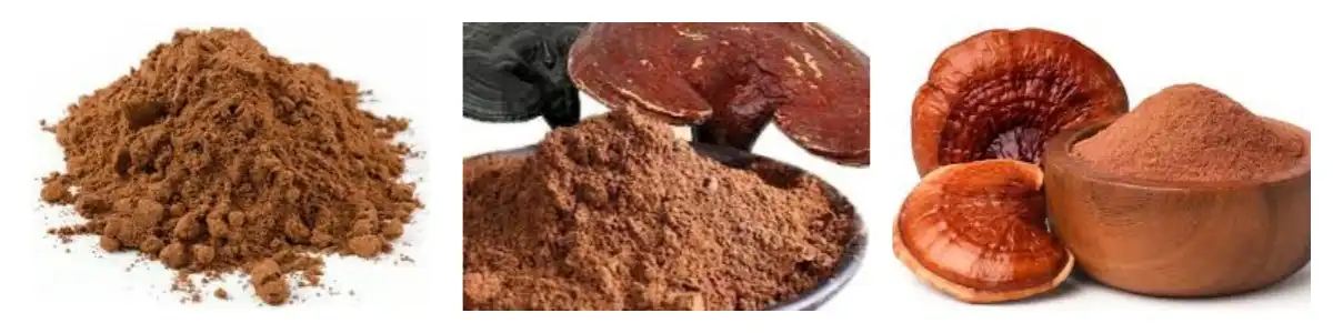 product-1-1 product-1-1