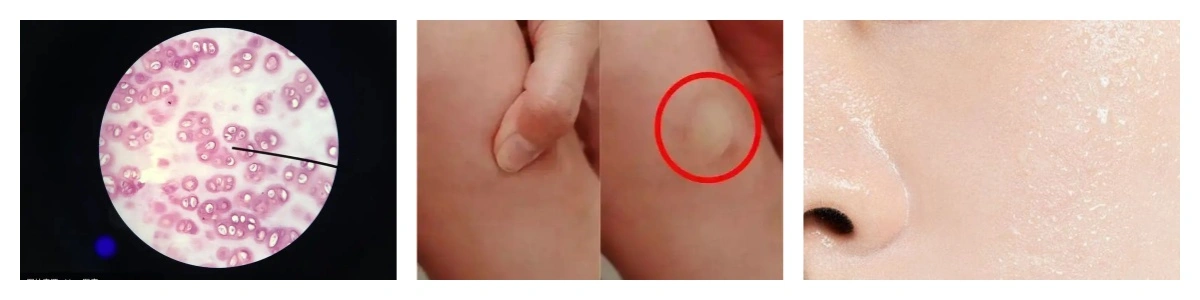 product-1-1 product-1-1