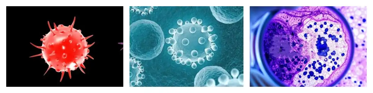 product-1-1 product-1-1