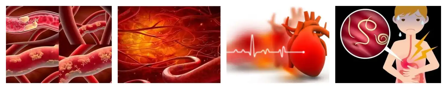 product-1-1 product-1-1