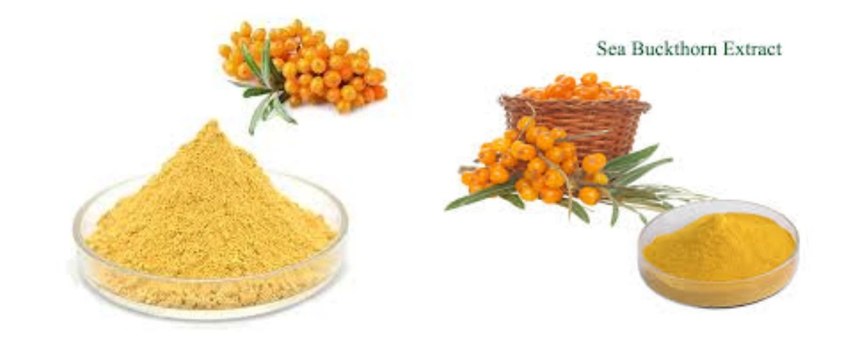 product-1-1 product-1-1