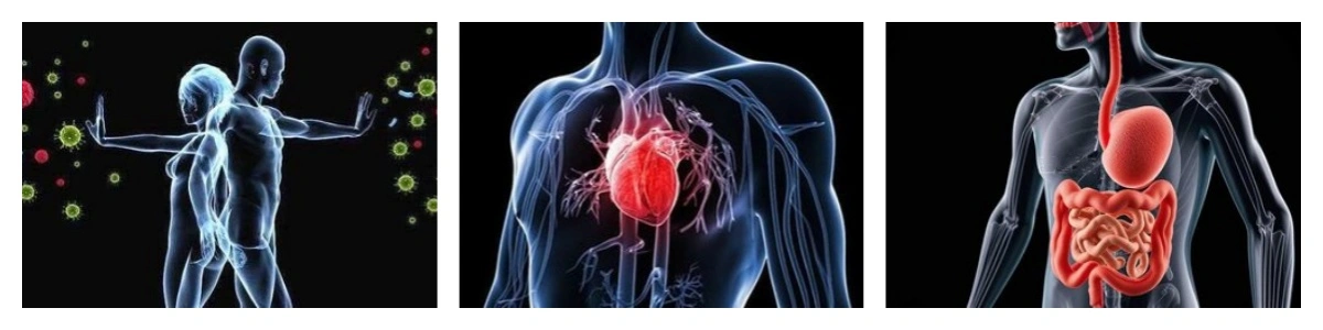 product-1-1 product-1-1