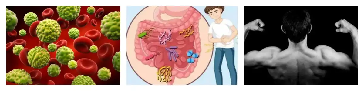 product-1-1 product-1-1