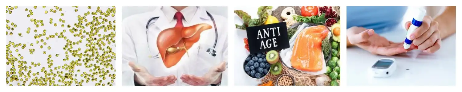 product-1-1 product-1-1