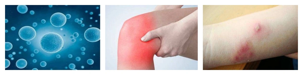 product-1-1 product-1-1