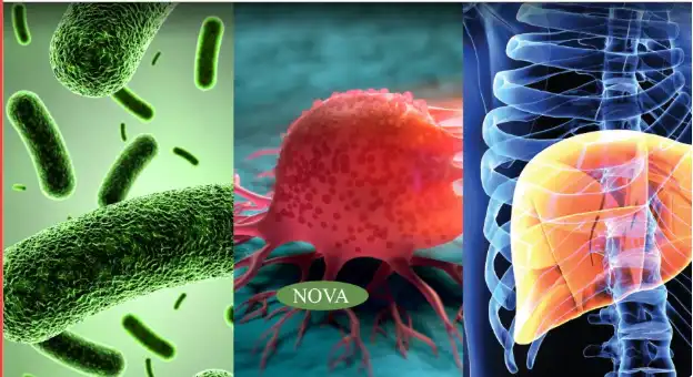 product-1-1 product-1-1