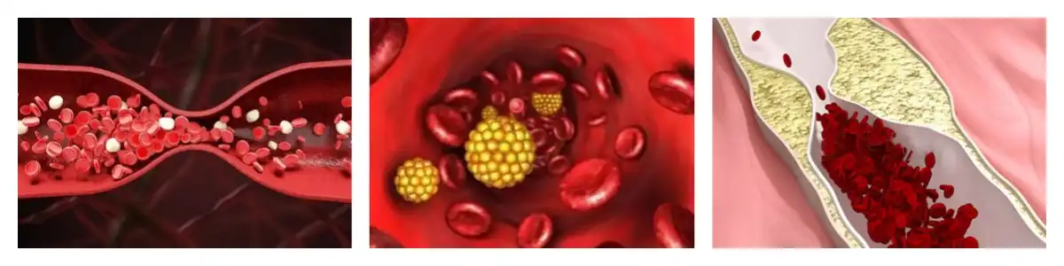 product-1-1 product-1-1