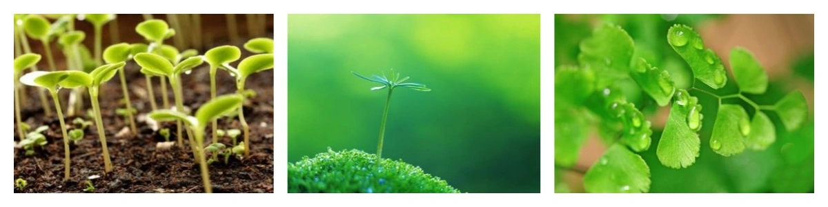 blog-1-1