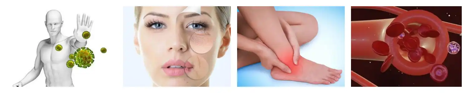 product-1-1 product-1-1