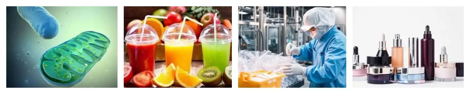 product-1-1 product-1-1