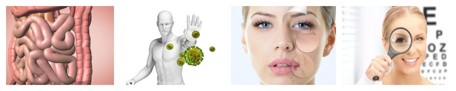 product-1-1 product-1-1