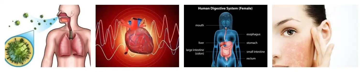 product-1-1 product-1-1