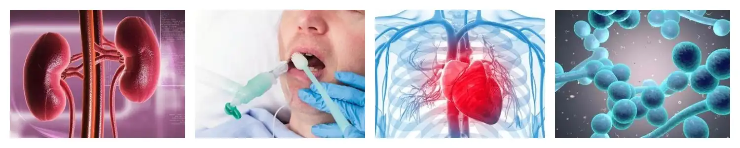 product-1-1 product-1-1