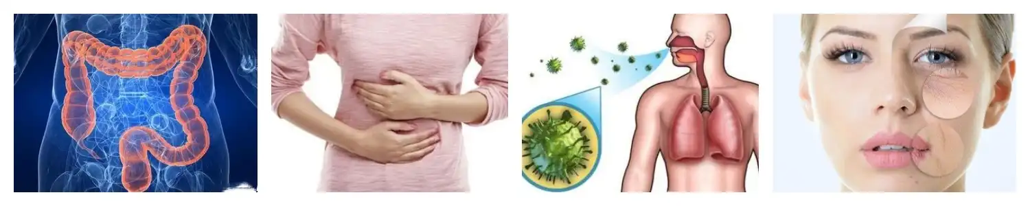 product-1-1 product-1-1