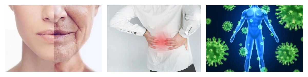 product-1-1 product-1-1