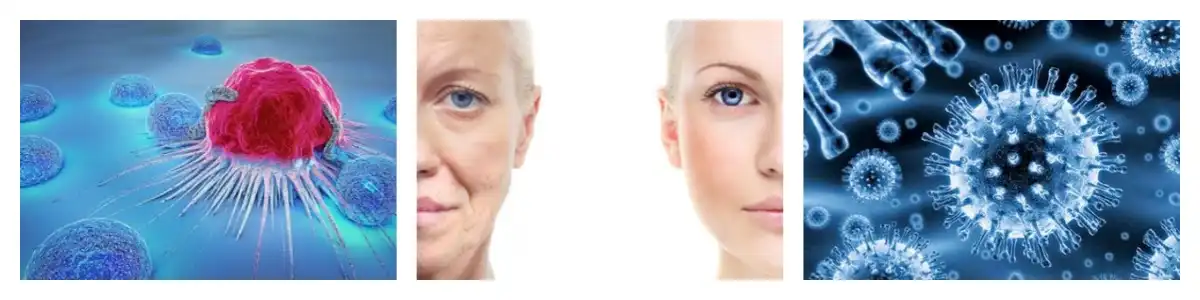 product-1-1 product-1-1