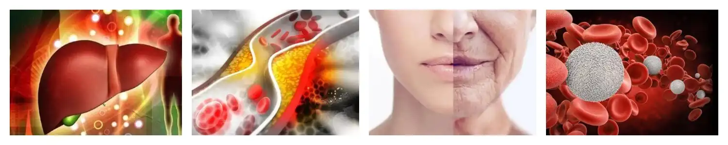 product-1-1 product-1-1