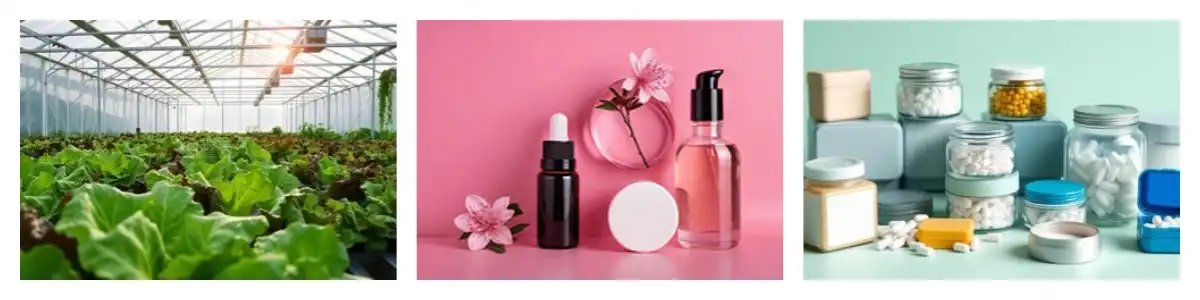 product-1-1 product-1-1