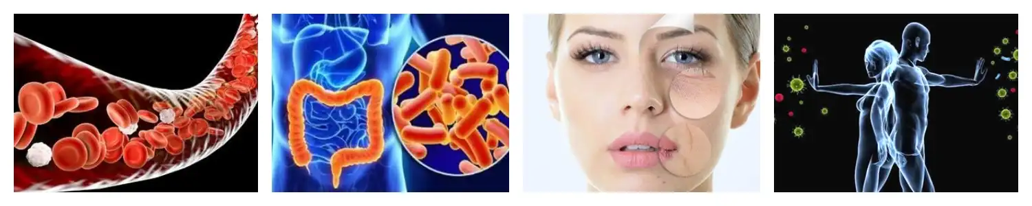 product-1-1 product-1-1