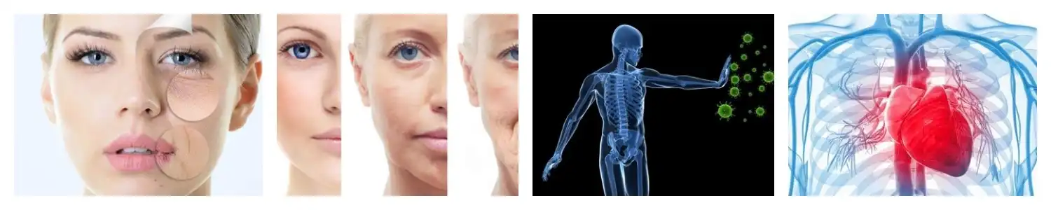 product-1-1 product-1-1