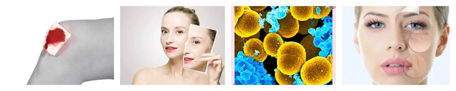 product-1-1 product-1-1