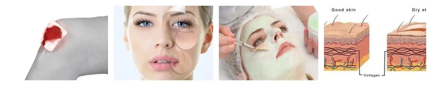 product-1-1 product-1-1