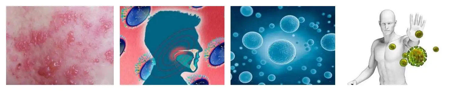 product-1-1 product-1-1