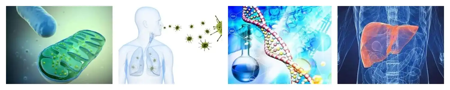 product-1-1 product-1-1