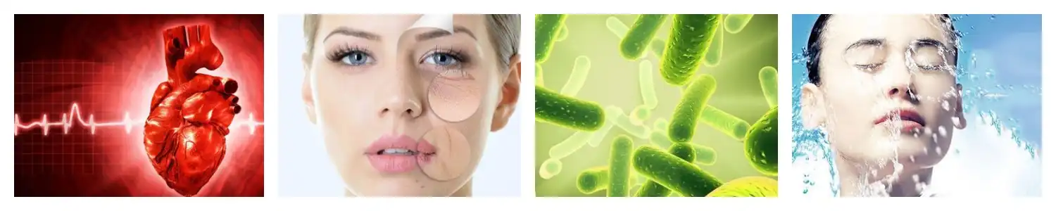 product-1-1 product-1-1