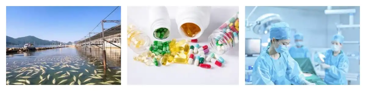 product-1-1 product-1-1