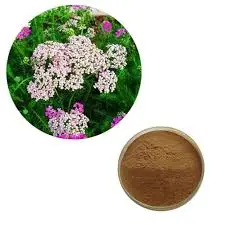 product-225-225