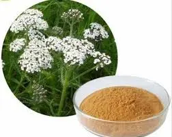 product-252-200