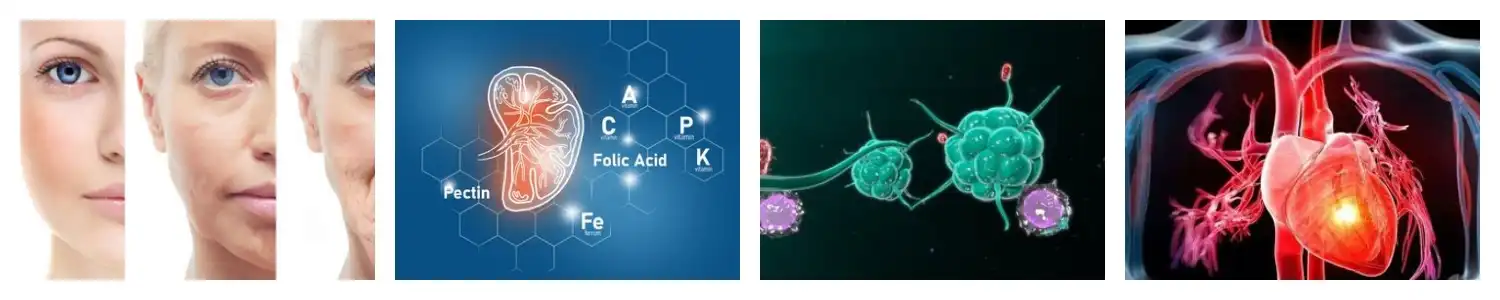 product-1-1 product-1-1