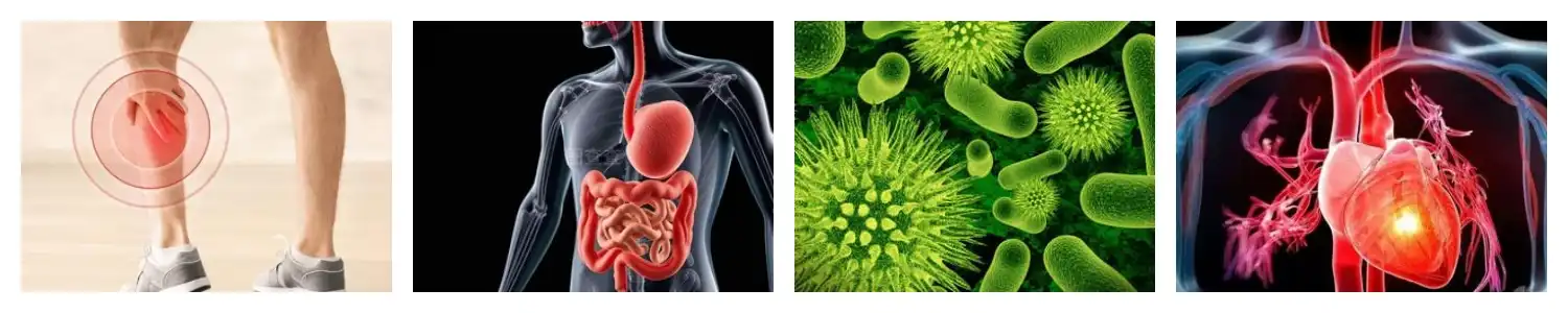 product-1-1 product-1-1