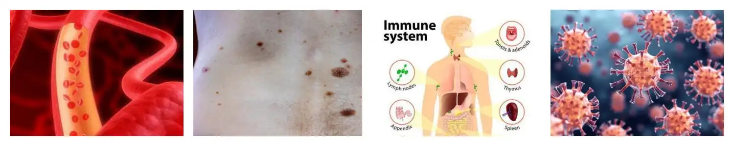 product-1-1 product-1-1