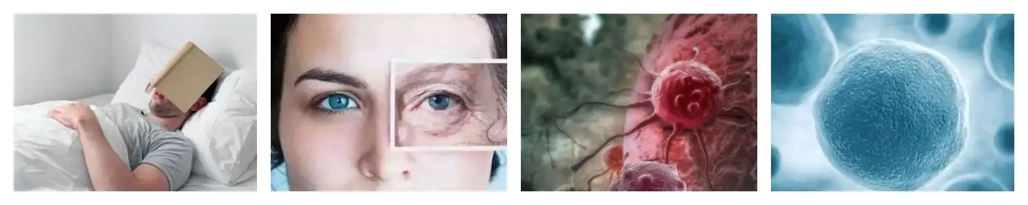 product-1-1 product-1-1