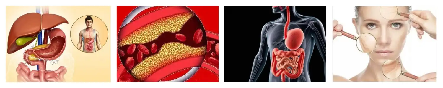 product-1-1 product-1-1