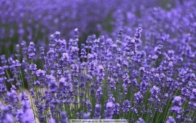 blog-400-252