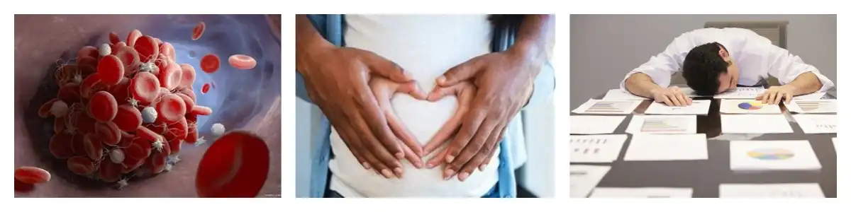 pwodwi-1-1 pwodwi-1-1