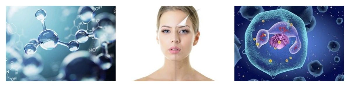 product-1-1 product-1-1