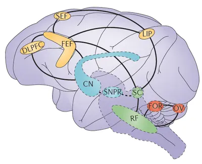 product-1-1 product-1-1
