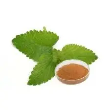 product-225-225