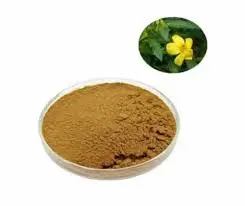 product-245-206