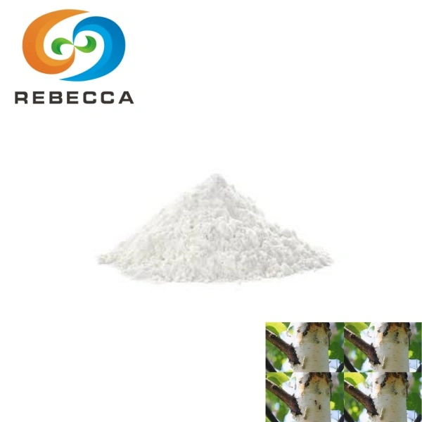 product-753-502