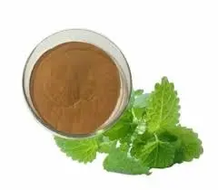 product-240-210