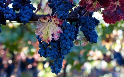 blog-400-250